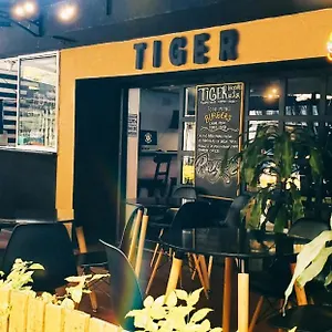 Tiger , מדיין קולומביה